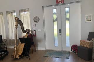 The Elegant Harp - 29