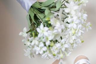 Mansi Studios - 39
