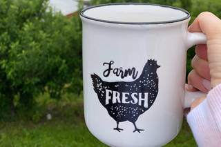 Nostrano Vineyards - 6