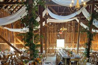 Wild Fern Boutique - 14
