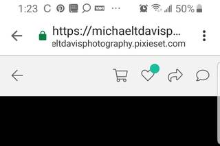 Michael T. Davis Photography - 14