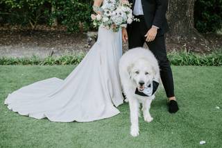 Atlanta Dahlia Photo + Video - 37