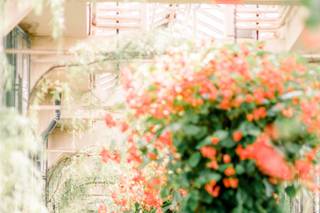Schon Photography - 8