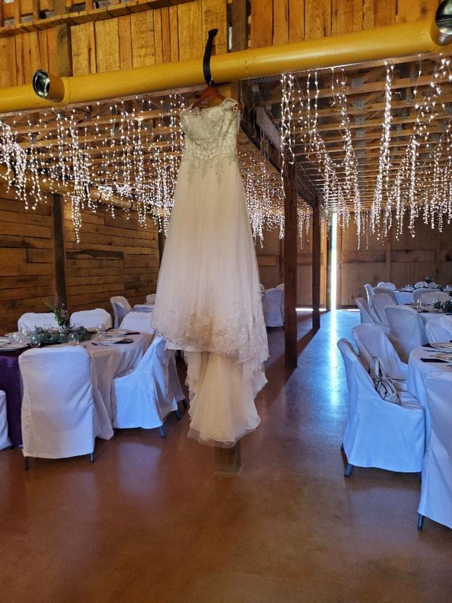 Mountain Mist Farm Venue - 1