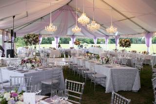 Blue Vanda Designs - 18