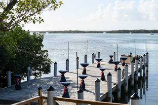 Islamorada Fish Company - 82
