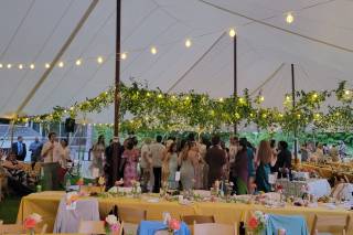Big Top Tent Rentals - 8