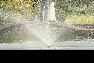 The Water Oasis - 46
