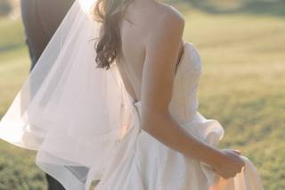 David Abel Photography - 6