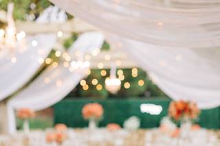 Betsy Newman Photography - 9