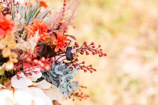 ST Photography - 39