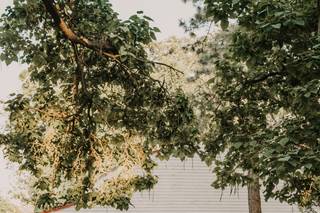Kendra Elise Photography - 78