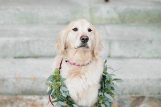 Lily Greenthumb's Wedding & Event Design - 21