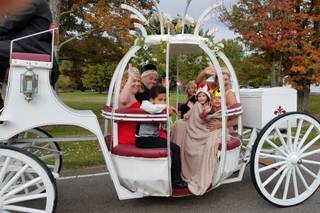 Carriage Limousine Service - Horse Drawn Carriages - 15