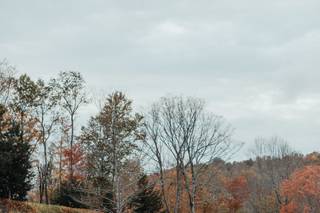Antrim Streamside - 15