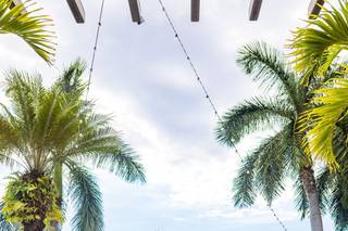 Naupaka Events & Weddings - 55