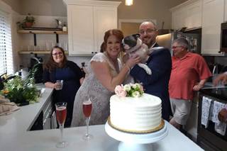 Celebrity Cake Studio - 24