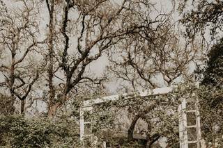 Rambling Rose Ranch - 5