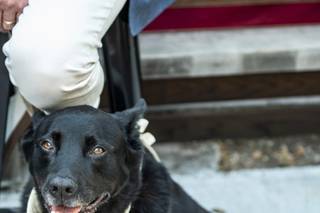 Donna Jean photography - 6