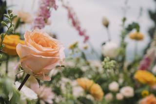 Sweetflower - 12