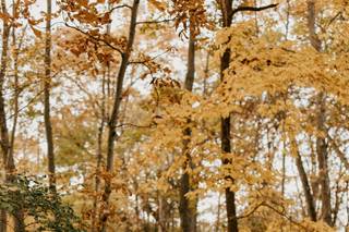 Details Made Simple ~ Wedding Day Coordinator - 39