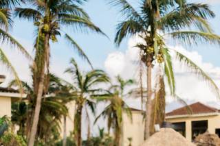 LaPlaya Beach & Golf Resort - 17