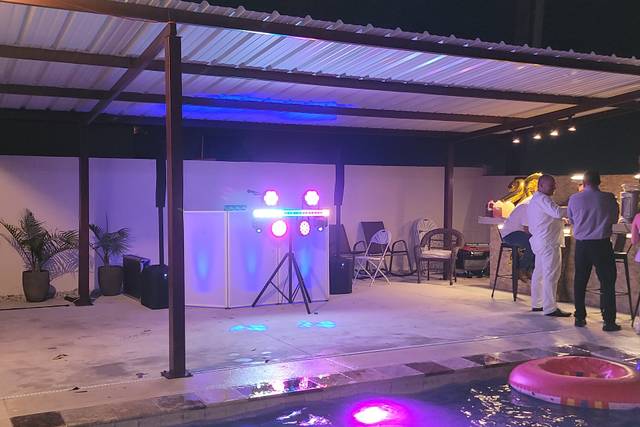 Professional DJ Services 1