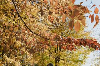 photos by mb - 63