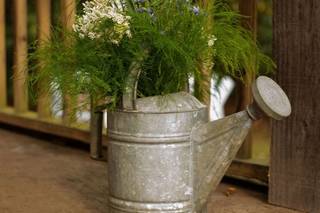 Green Designs - 12