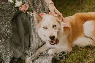 Katie Bertagnolli Photography - 25