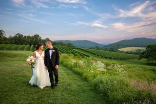 Pippin Hill Farm and Vineyard - 19