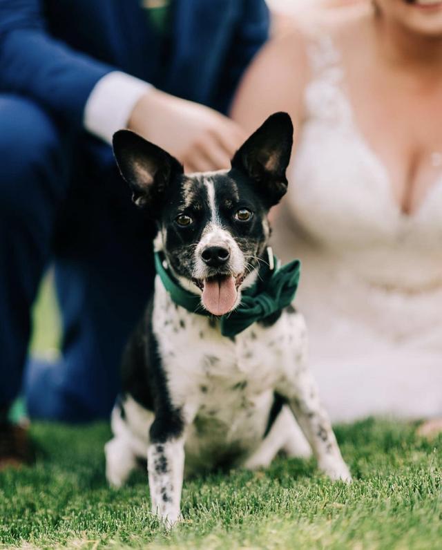 Bethany Jackson Photography - 2