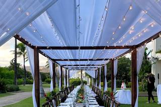 Arluis Weddings - 7