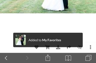 Brittany Bekas Photography - 33