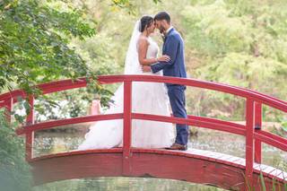 Michael Phillips Photography - 10