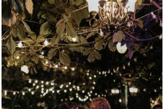 Complete Weddings + Events Utah - 6