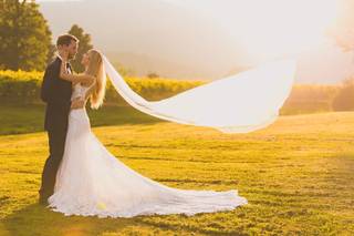 Veritas Vineyard & Winery - 23