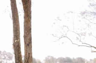 One Life Photography - 30