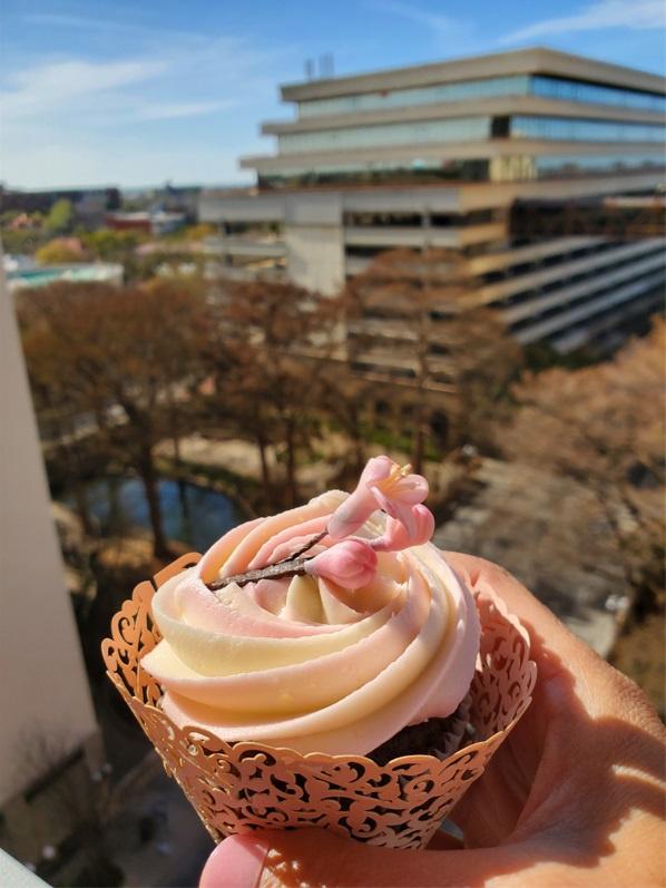 Little Muse Catering and Cakes - 2