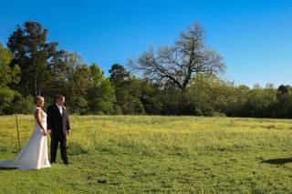 Hedge Farm - 4