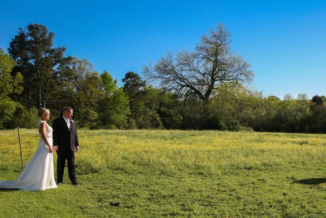 Hedge Farm 1