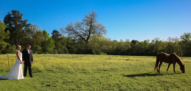 Hedge Farm - 1