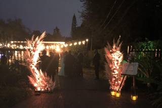 Miami Centerpieces, LLC - 143