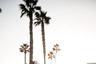 JCDesigns Weddings & Events - 16