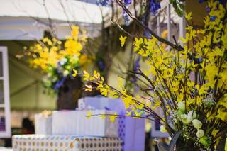 Broad View Events - 28