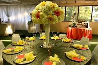 Perfect Perfections Events - 31