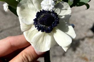 The Flowerman - 86