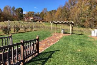 Running Hare Vineyard - 20