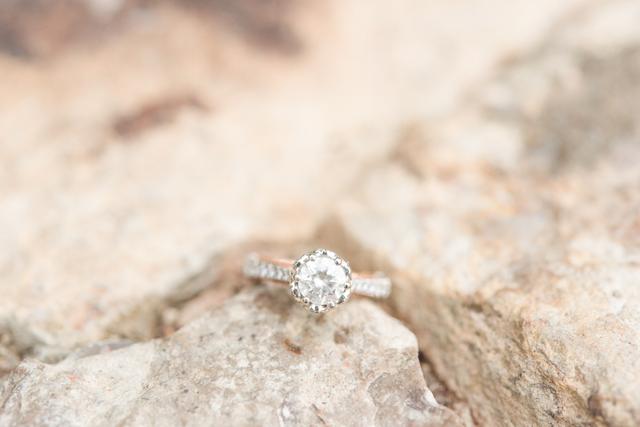 Amber + Elle Photography - 3
