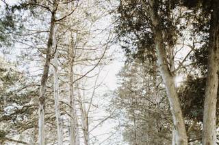 John Castillo Photography - 10